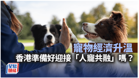 singtao01